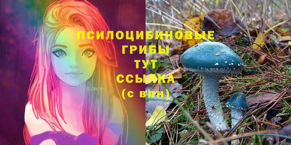 spice Беломорск