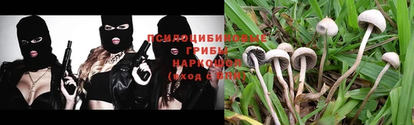 ALPHA-PVP Богородицк