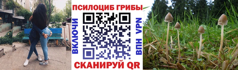 Псилоцибиновые грибы Cubensis  где купить наркоту  Улан-Удэ 