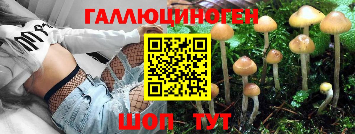 Улан-Удэ  Псилоцибиновые грибы Psilocybe  Вход с VPN  Галлюциногенные грибы мицелий 